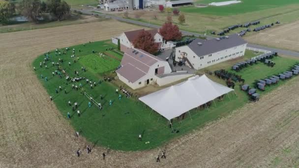 Ariel Vista Una Boda Amish Día Otoño Con Buggies Amish — Vídeo de stock