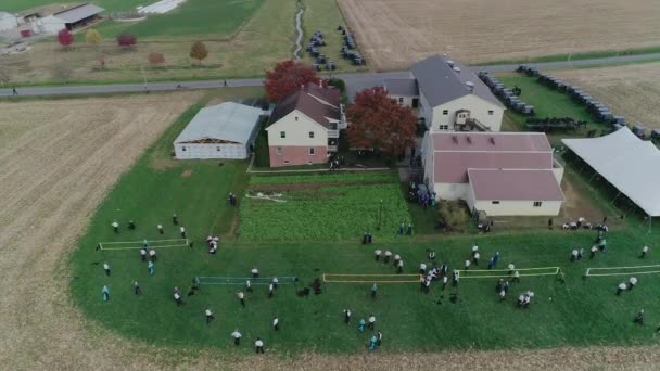 Ariel View Amish Wedding Autumn Day Buggies Amish Jogando Volley — Vídeo de Stock