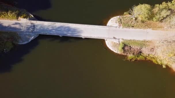 Small Lake Surrounded Trees Aerial Shot Bridge Car Driving Looking — Stockvideo
