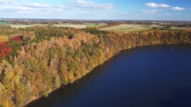 Small Lake Surrounded Trees Aerial Shot Autumn Colors Bright Sunny — Stockvideo