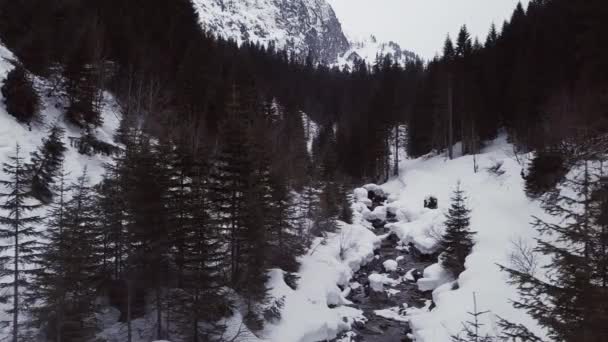 Aerial Drone Shot Small Valley Trail Creek Alps Kleinwalsertal Austria — Video