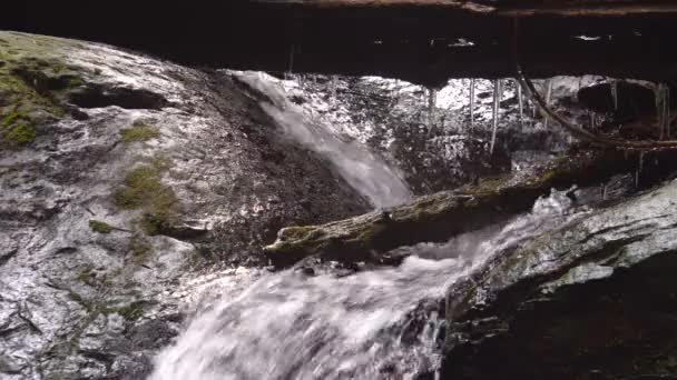 Close Clip Small Mountain Stream Rushing Rocks Icicles Hanging Log — Stock Video