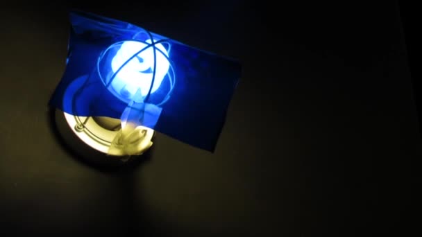 Lâmpada Fluorescente Com Filtro Azul — Vídeo de Stock