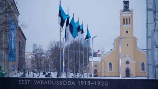 Шість Естонських Прапорів Летять Біля Колони Перемоги Біля Площі Свободи — стокове відео