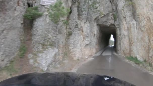 Conduciendo Través Estrecho Túnel Rocoso Autopista Needles Custer State Park — Vídeo de stock