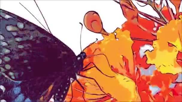 Animation Closeup Butterfly Flower — Vídeo de Stock