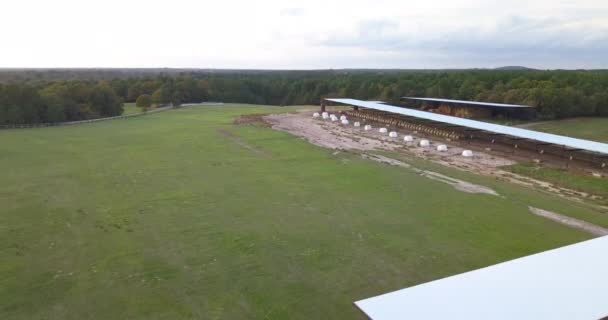 Drone Shot Una Granja Lechera Con Fardos Heno — Vídeo de stock