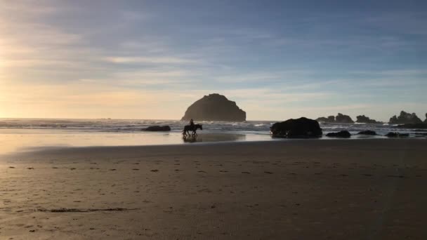 Slow Motion Silhouette Vidéo Deux Personnes Chevauchant Leurs Chevaux Face — Video