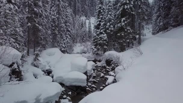 País Las Maravillas Invierno Los Alpes Pequeño Valle Con Arroyo — Vídeos de Stock