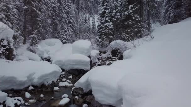País Las Maravillas Invierno Los Alpes Pequeño Valle Con Arroyo — Vídeos de Stock