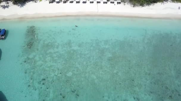 Drone Footage Malaysia Island Beach Side Tropical Season Feel — ストック動画