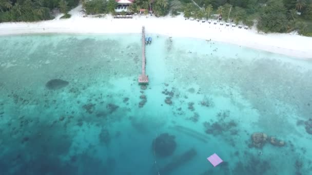 Malezya Adasından Insansız Hava Aracı Görüntüleri Plaj Kenarı Tropikal Mevsimi — Stok video