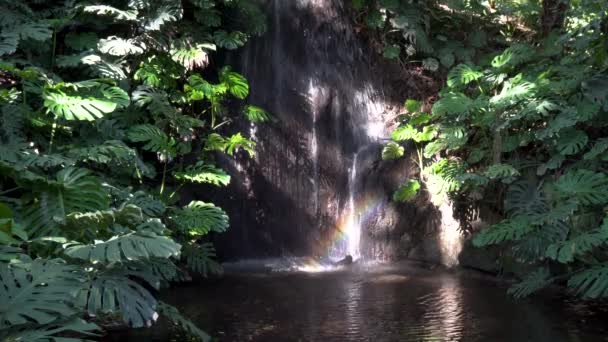 Samll Vodopád Duhou Tvořenou Světlem Procházející Mezi Stromy Botanickém Parku — Stock video