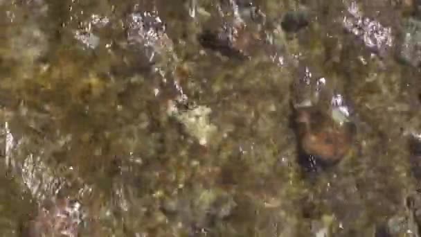 浅层河床底部 — 图库视频影像