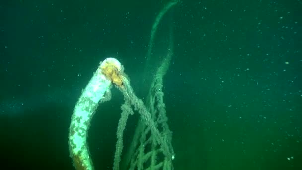 Hmcs Annapolis Port Sisi Rel Dalam Air Keruh — Stok Video