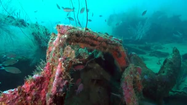Kumda Resif Kaplı Bir Araba — Stok video