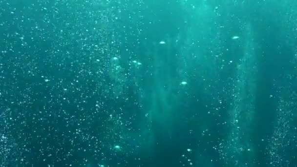 Bubliny Potápěčů Stoupají Zdola — Stock video