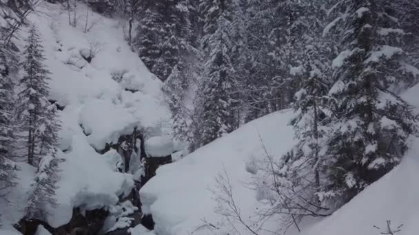 Maravilhas Inverno Nos Alpes Pequeno Vale Com Riacho Nevado Kleinwalsertal — Vídeo de Stock