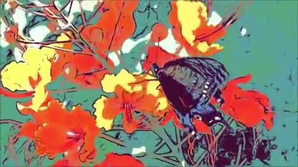 Animation Butterfly Flower – stockvideo