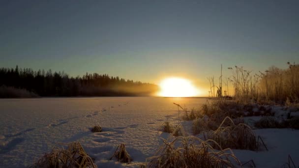 美丽的芬兰 在寒冷的冬日湖上 拉普兰夕阳西下 雾蒙蒙 令人叹为观止 — 图库视频影像