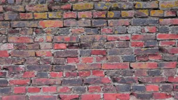 Old Brick Wall Exterior Panning Left Right Uninterrupted — Video Stock