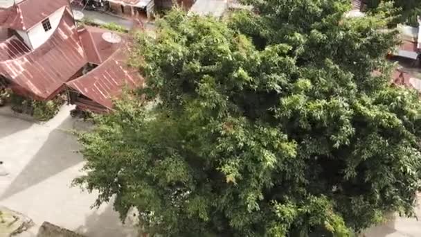 Drohnenflug Über Das Traditionelle Batak Dorf Auf Der Insel Samosir — Stockvideo