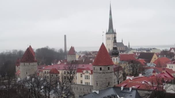 Tallinn Eski Kasaba Manzarası Gri Gökyüzü Ile Karsız — Stok video