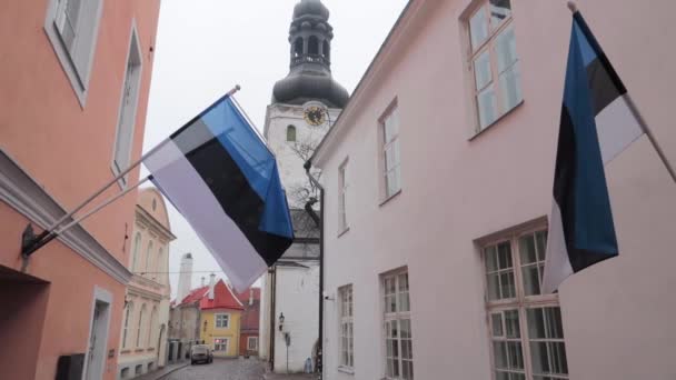 Σημαίες Estonian Κρέμονται Παστέλ Κτίριο Την Εκκλησία Στο Παρασκήνιο Γκρι — Αρχείο Βίντεο