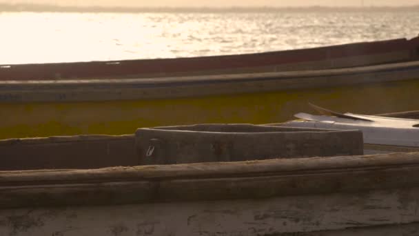 Reiher Hockt Auf Altem Fischerboot Das Bei Sonnenuntergang Port Royal — Stockvideo