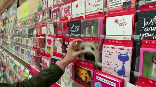 Female Picking Out Valentines Day Card Greeting Card Section Local — Wideo stockowe