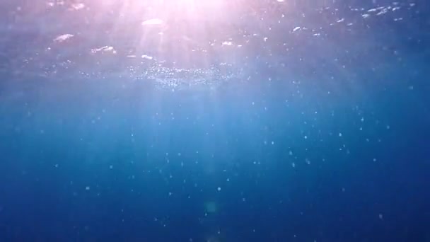 Havet Sol Skiner Genom Ytan När Kameran Stiger Upp Till — Stockvideo