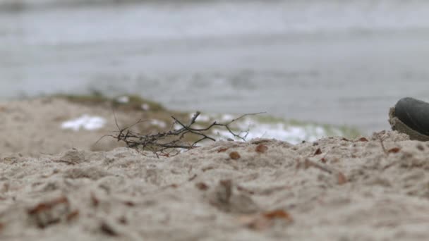 Skrupelfri Tappning Plastcupen Stranden — Stockvideo
