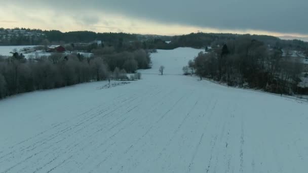 Drohnenaufnahmen Auf Einem Feld — Stockvideo