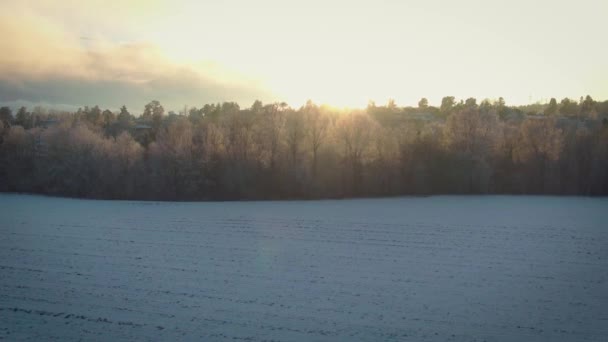 Drohnenaufnahmen Auf Einem Feld — Stockvideo