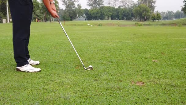 Amateur Golf Swing Slow Motion — Video