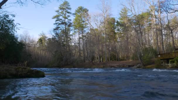 Tiro Río Medio Bosque Georgia — Vídeo de stock