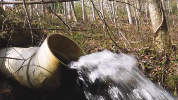 Tubo Drenagem Aberto Que Flui Água Uma Floresta Geórgia — Vídeo de Stock