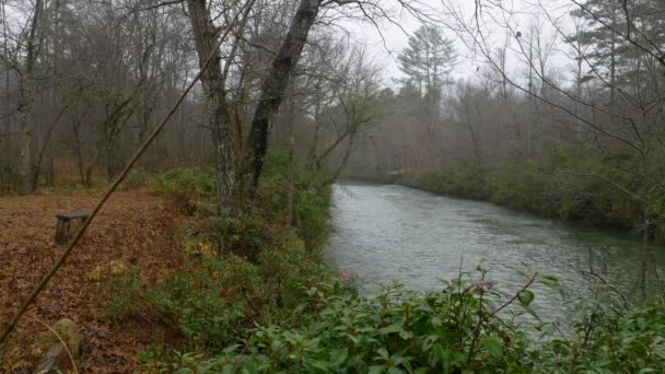 Tiro Río Tranquilo Bosque Durante Invierno Georgia — Vídeo de stock