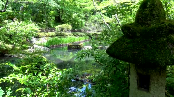 Still General View Japanese Garden Lake — Stock Video