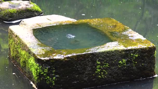 Springing Water Stone Japanese Garden — Vídeo de Stock