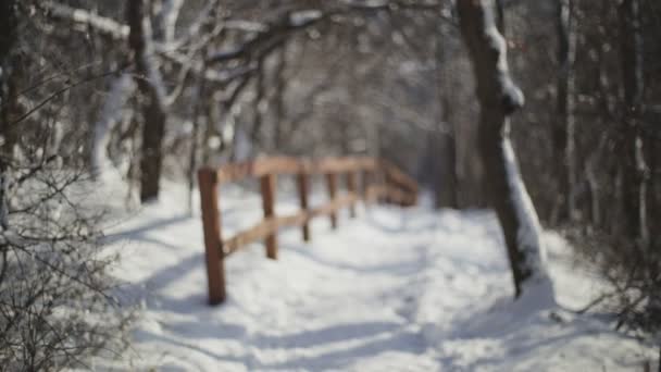 Lonely Pedestrian Road Section Making Bit Softer Out Focus Macro — Video Stock