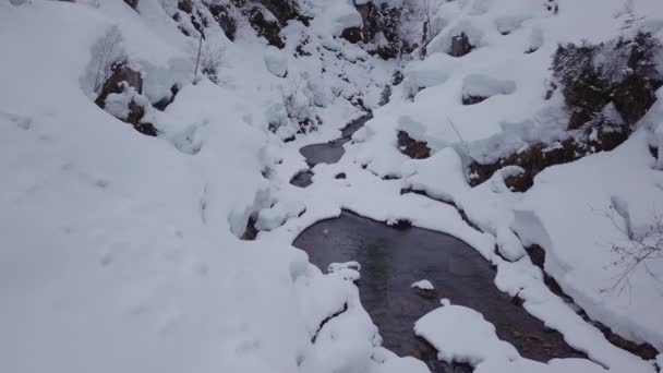 Winter Wonderland Snowy Valley Alps Creek Drone Flying Gorge — 비디오