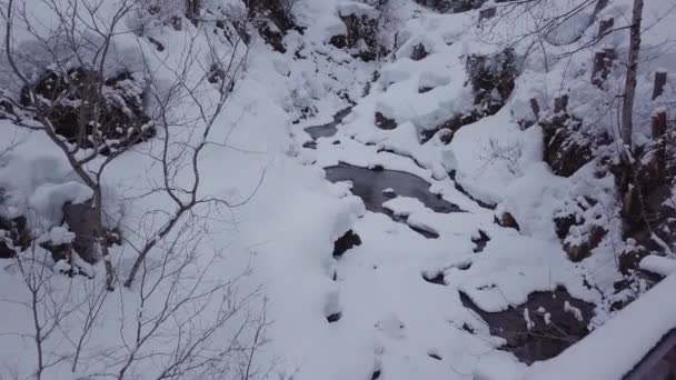 Vinterunderlandet Snöig Dalgång Med Bäck Alperna Drönaren Flyger Bakåt Ravin — Stockvideo