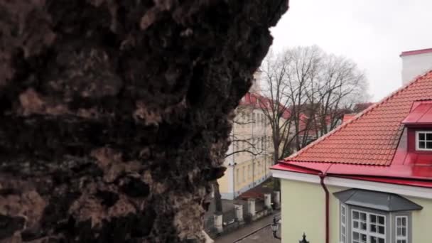 Suivi Panoramique Droite Vieille Ville Tallinn Travers Mur Pierre Fortification — Video