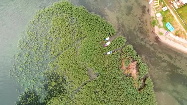 Aerial Shot Wild Island Made Reed Cane Struga Ohrid Lake — Vídeo de Stock