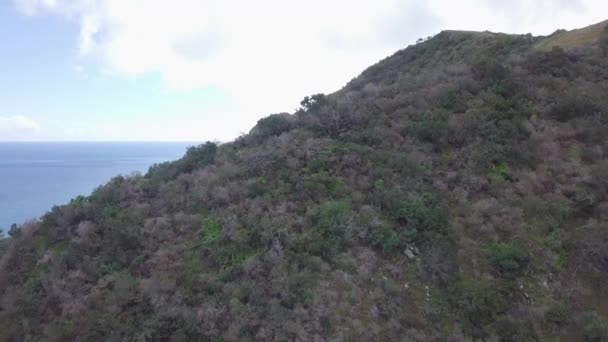 Πετώντας Ψηλά Αποκαλύπτοντας Τεράστιο Βουνό Στο Νησί Καταλίνα — Αρχείο Βίντεο