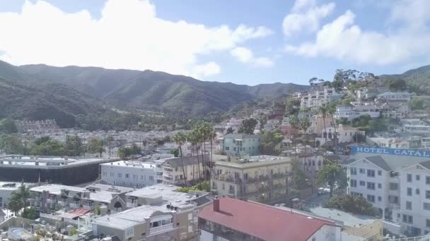 Voando Acima Das Casas Ilha Ilha Catalina Disparado Drone — Vídeo de Stock