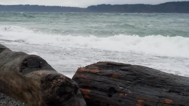 Lassú Serpenyő Durva Hullámok Törnek Puget Sound Strandon Egy Téli — Stock videók