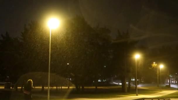 Zware Sneeuwstorm Nachts Naast Een Park Met Een Aantal Straatlantaarns — Stockvideo