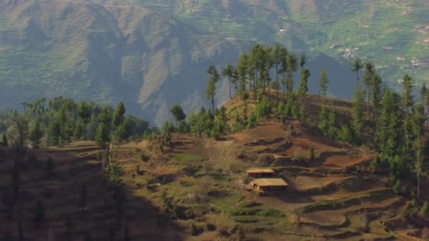 Arbres Sommet Vol Aérien Montagne Montrant Une Petite Cabane Montagne — Video